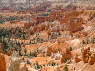 Stunning Bryce Canyon, Utah, USA. Spectacular bright orange rock formations, created by natural erosion.