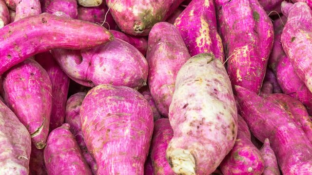 Close up e zoom out de batata doce