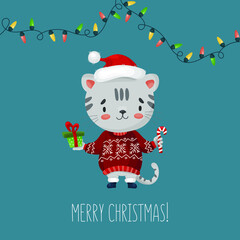 christmas greeting card with cute cat in sweater
