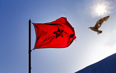 A Moroccan flag in the wind and a flying seagull in the sparkling sunshine.