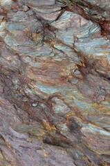 Seaside Rock Detail