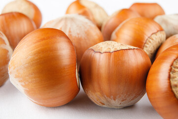 Beautiful hazelnut close-up. Hazelnut on a white background.