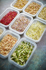 Various kind healthy microgreen sprouts in small packages placed on the stone background
