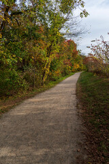 Fototapeta na wymiar walking trail in autumn forest