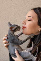 Don Sphynx kitten with its owner.  A funny playful pet.