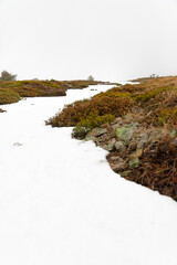 Paisaje de alta montaña con nieve