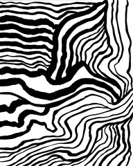 Expressive lines drawn by ink by hand, pattern isolated on white background.