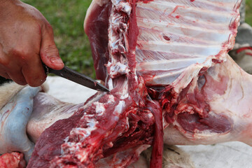 a butcher cuts an animal carcass into meat for eating with a knife