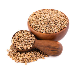 Hemp seeds isolated on white background. Dry seeds of cannabis, hemp or marijuana in wooden bowl and spoon.