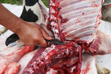 a butcher cuts an animal carcass into meat for eating with a knife
