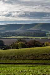 Obraz premium A South Downs View