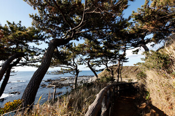 荒崎海岸