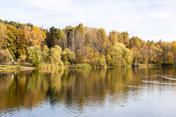 view of pond with yellow trees on shore in city park in autumn morning