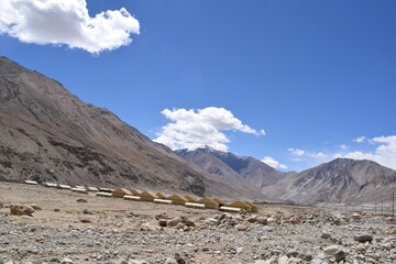 landscape in the himalayas near pangong lake leh ladakh