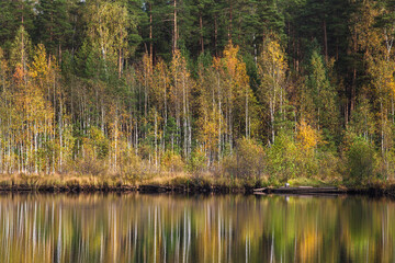 Obraz premium Autumn forest behind the lake. Trees are reflected in a calm water.