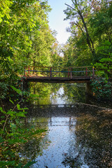 Fototapeta na wymiar wooden vintage bridge across small river in the autumn