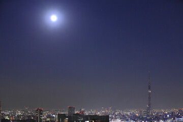 Obraz premium 月とスカイツリー夜景