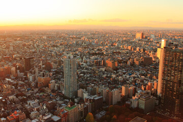 Naklejka premium 西新宿町並み夕景