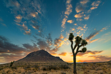 sunset in the desert