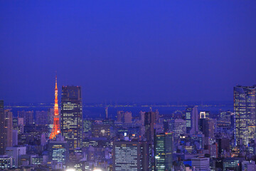 Obraz na płótnie Canvas 東京タワーとビル群夜景