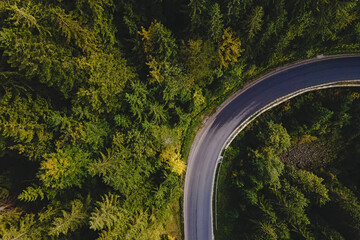 Aerial top view of curvy mountain road going through the pine forest.