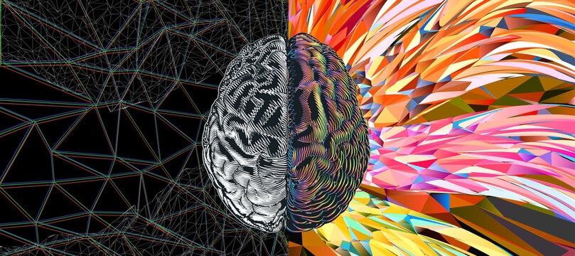 Cerebral hemispheres of brain function concept illustration