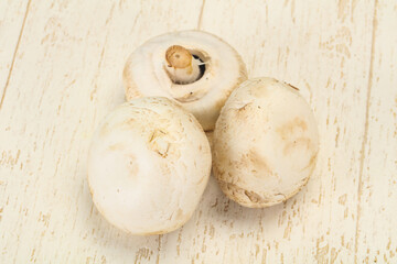 Raw Champignon heap for cooking