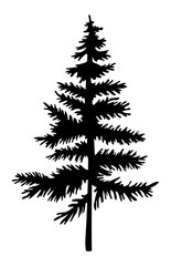 Black silhouette of fir-tree. Christmas tree. Simple tree icon. Nature concept. Black tree with needles isolated at white background. Decorative element. Plant shadow. Vector black illustration