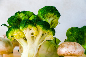 Broccoli and mushroom vegetable like a forest on the white background
