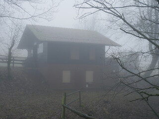 Haus mit Baeumen in dickem Nebel