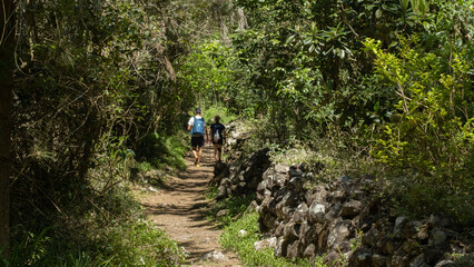 Couple trekking in the jungle