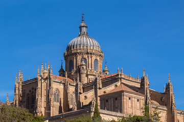 Fototapeta na wymiar Cathedral of Salamanca in Spain