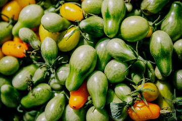 Macro photography of a tomato. Tomatoes lie in rows. Selective focus.