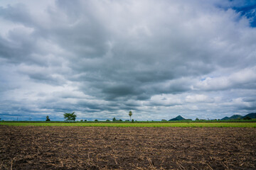 The cloudy day at Khao Kala, Nakhon Sawan.