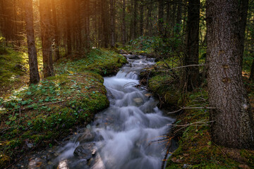 Obraz premium Small river in moist dense forest in the sun rays. Rapid stream of water between the banks, overgrown with green grass and moss. Cascade on taiga river, soft focus.
