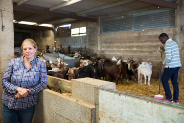 Portrait of confident woman professional goat breeder in stall on goat farm