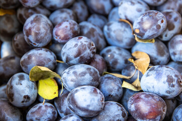 close up of plums