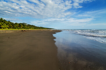 Fototapeta na wymiar beach in costa rica