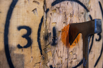 Axe throwing target with axe in center on bullseye