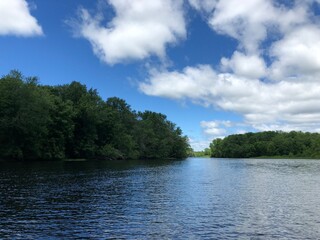 lake in the forest
