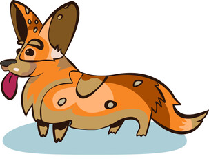 Vector image of cute multi-colored dog corgis on a white background