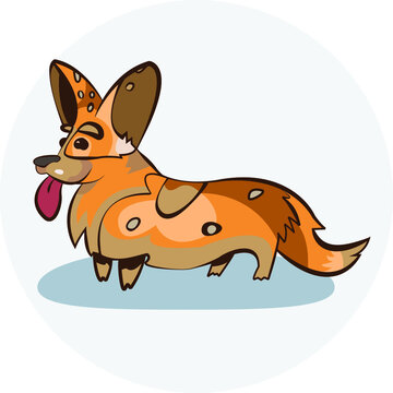Vector image of cute multi-colored dog corgi against the background of a slightly gray circle