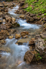 Fototapeta premium Gebirgsbach auf der Seiser Alm, Alpe di Siusi, Südtirol