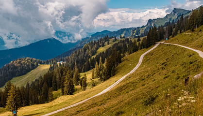 Obraz premium Beautiful alpine summer view at the famous Brauneck summit near Lenggries, Bavaria, Germany