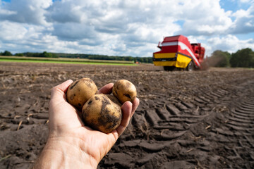 Kartoffelernte -  Moderne Kartoffelroder auf dem Kartoffelfeld im Ernteeinsatz
