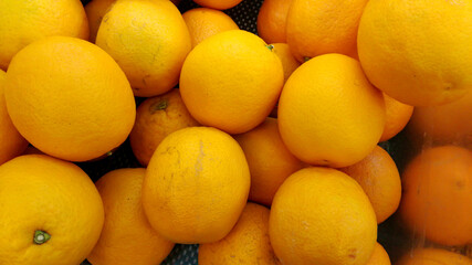 Fresh lemons in a bucket for your health promotion 