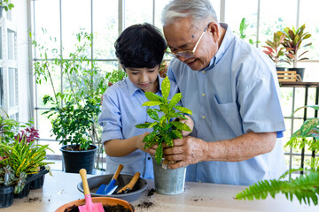 Asian senior man and young boy gardening together. Grandfather and grandson happy working in...