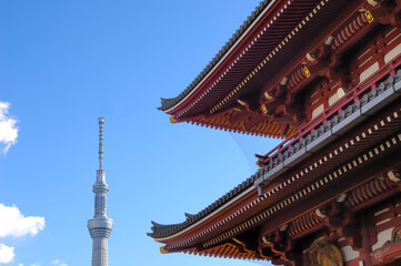 Fototapeta premium 仁王門から観たスカイツリー