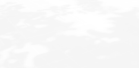 Abstract Shadow. blurred background. gray leaves that reflect concrete walls on a white wall surface for blurred backgrounds and monochrome wallpapers.