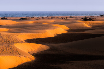 Golden Shores! - Maspalomas, Gran Canaria